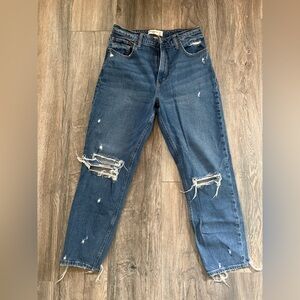 Abercrombie & Fitch Curve Love High-Rise Mom Jean 29/8R